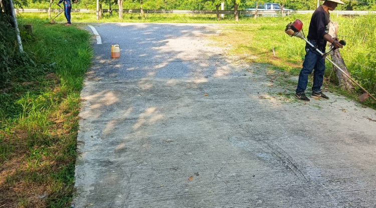 วันที่ 3 พฤศจิกายน 2566 นายชัยรัตน์ กิตติหิรัญวัฒน์ นายกเทศมนตรีตำบลตลาดแค มอบหมายให้เจ้าหน้าที่ดำเนินการปรับปรุงภูมิทัศน์ บริเวณถนนเขตพื้นที่ หมู่15 และบริเวณเขตพื้นที่ หมู่ 2 ตำบลธารปราสาท อำเภอโนนสูง จังหวัดนครราชสีมา