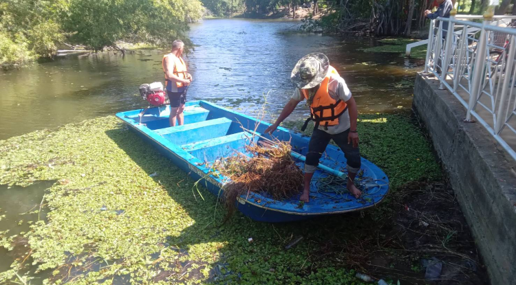 วันที่ 17 พฤศจิกายน 2566 นายชัยรัตน์ กิตติหิรัญวัฒน์ นายกเทศมนตรีตำบลตลาดแค มอบหมายให้เจ้าหน้าที่เทศบาลตำบลตลาดแค  ดำเนินการ ปรับภูมิทัศน์ ทำแนวกั้นวัชพืช ท่าน้ำ เตรียมความพร้อม งานประเพณีลอยกระทง ประจำปี 2566  ณ วัดตลาดแค อำเภอโนนสูง จังหวัดนครราชสีมา