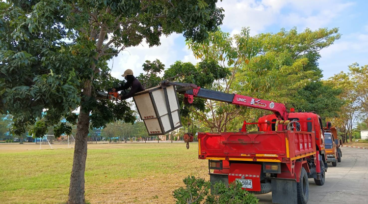 วันที่ 13 ธันวาคม 2566 นายชัยรัตน์ กิตติหิรัญวัฒน์ นายกเทศมนตรีตำบลตลาดแค มอบหมายให้เจ้าหน้าที่เทศบาลตำบลตลาดแคดำเนินการปรับปรุงภูมิทัศน์สถานศึกษา ตามหนังสือขอความอนุเคราะห์จากโรงเรียนธารปราสาทเพชรวิทยา  อำเภอโนนสูง จังหวัดนครราชสีมา