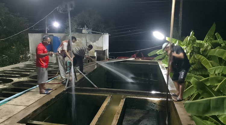 วันที่ 3 มกราคม 2567 นายชัยรัตน์ กิตติหิรัญวัฒน์ นายกเทศมนตรีตำบลตลาดแค มอบหมายให้เจ้าหน้าที่เทศบา่ลตำบลตลาดแค ดำเนินการล้างถังตกตะกอน. ป 2. เพื่อให้พี่น้องประชาชนได้ใช้น้ำระบบประปาที่สะอาด 