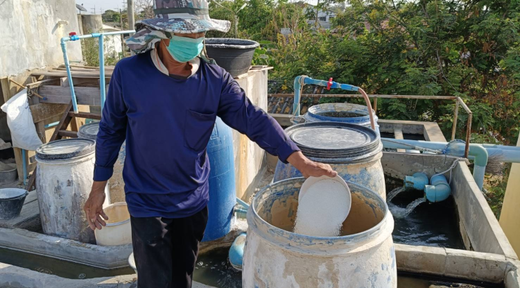 วันที่ 21 กุมภาพันธ์  2567 นายชัยรัตน์ กิตติหิรัญวัฒน์ นายกเทศมนตรีตำบลตลาดแค มอบหมายให้เจ้าหน้าที่เทศบาลตำบลตลาดแค  ได้ดำเนินการเติมสารส้มคลอรีน โรงผลิดน้ำประปา (ป.1,ป.2)  เพื่อให้น้ำประปาสะอาดและปลอดภัยสำหรับประชาชนผู้ใช้น้ำของเทศบาลตำบลตลาดแค