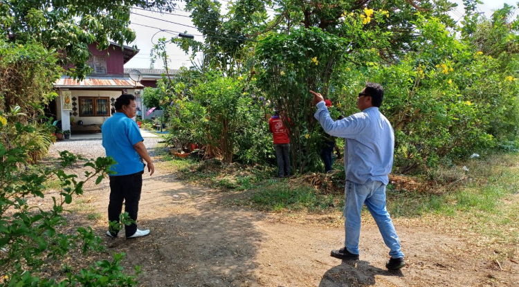 วันที่ 22 มีนาคม 2567 นายชัยรัตน์ กิตติหิรัญวัฒน์ นายกเทศมนตรีตำบลตลาดแค มอบหมายให้เจ้าหน้าที่เทศบาลตำบลตลาดแค ลงพื้นที่ร่วมกับการไฟฟ้าส่วนภูมิภาคอำเภอพิมาย ดำเนินการตัดต้นไม้ กิ่งไม้ตามแนวสายไฟฟ้า บริเวณชุมชนตลาดแคตะวันออกฝั่งเหนือ ชุมชนโนนพิมาน และบริเวณถนนเทศบาลซอย 25 อำเภอโนนสูง จังหวัดนครราชสีมา