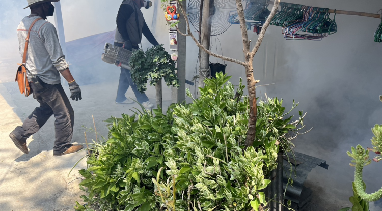 วันที่ 23 เมษายน  2567 นายชัยรัตน์ กิตติหิรัญวัฒน์ นายกเทศมนตรีตำบลตลาดแค มอบหมายให้เจ้าหน้าที่เทศบาลตำบลตลาดแค ลงพื้นที่ดำเนินการพ่นหมอกควันเพื่อป้องกันและควบคุมการแพร่ระบาดโรคไข้เลือดออก บริเวณชุมชนโนนพิมาน หมู่ 12 อำเภอโนนสูง จังหวัดนครราชสีมา