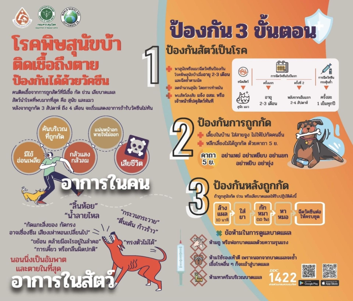 โรคพิษสุนัขบ้า ติดเชื้อถึงตาย ป้องกันได้ด้วยวัคซีน