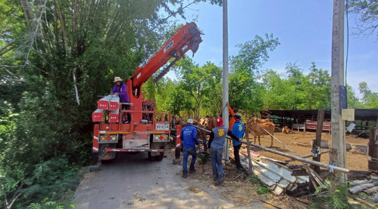 วันที่ 23 เมษายน 2568 นางสาวพัทธ์ธีรา ศิริทรัพย์ รองปลัดเทศบาล รักษาราชการแทน ปลัดเทศบาล ปฏิบัติหน้าที่ นายกเทศมนตรีตำบลตลาดแค มอบหมายให้เจ้าหน้าที่เทศบาลตำบลตลาดแค  ลงพื้นที่ร่วมกับตัวแทนจากการไฟฟ้าส่วนภูมิภาคอำเภอพิมาย เข้าดำเนินการปักเสาไฟฟ้า(ขยายเขต) ถนนเทศบาล ซอย 26 เขตชุมชนตลาดแคตะวันออกฝั่งเหนือ อำเภอโนนสูง จังหวัดนครราชสีมา