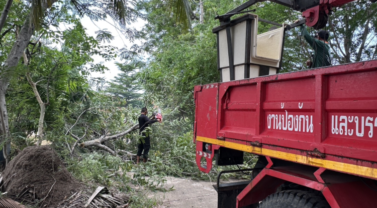 วันที่ 29 เมษายน 2568 นางสาวพัทธ์ธีรา ศิริทรัพย์ รองปลัดเทศบาล รักษาราชการ ปลัดเทศบาล ปฏิบัติหน้าที่ นายกเทศมนตรีตำบลตลาดแค มอบหมายให้เจ้าหน้าที่เทศบาลตำบลตลาดแค ดำเนินการปรับปรุงภูมิทัศน์ และตัดกิ่งไม้พาดสายไฟเพื่อป้องกันการเกิดอัคคีภัย บริเวณรอบสระหนองสะแก  ตำบลธารปราสาท อำเภอโนนสูง จังหวัดนครราชสีมา