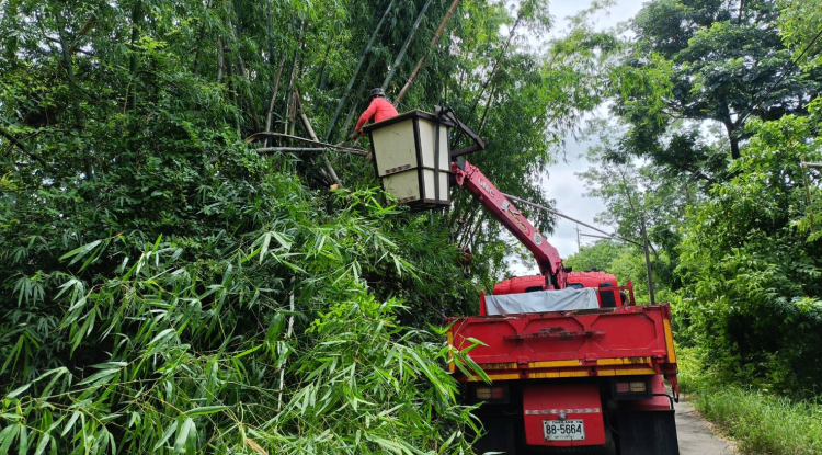 วันที่ 10 มิถุนายน 2568 นางสาวพัทธ์ธีรา ศิริทรัพย์ รองปลัดเทศบาล รักษาราชการ ปลัดเทศบาล รักษาราชการแทน นายกเทศมนตรีตำบลตลาดแค มอบหมายให้เจ้าหน้าที่เทศบาลตำบลตลาดแค ดำเนินการปรับปรุงภูมิทัศน์ และตัดกิ่งไม้พาดสายไฟเพื่อป้องกันการเกิดอัคคีภัย ในเขตเทศบาลตลาดแค